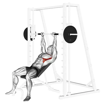 Best Smith Machine Shoulder Workouts Smith Incline Shoulder Raises