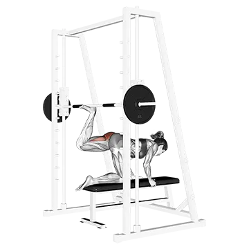 Best Machine Glute Workouts Smith Kneeling Rear Kick