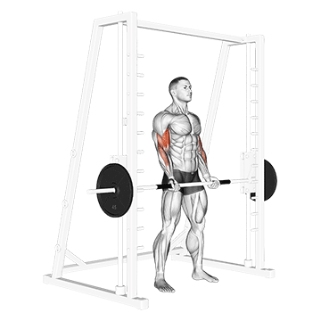 Best Machine Bicep Workouts Smith Machine Bicep Curl