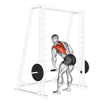 Best Smith Machine Back Workouts Smith One Arm Row