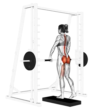 Smith One Leg Deadlift