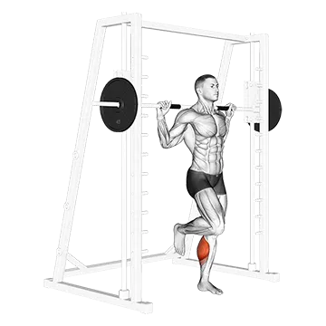 Best Smith Machine Leg Workouts Smith One Leg Floor Calf Raise