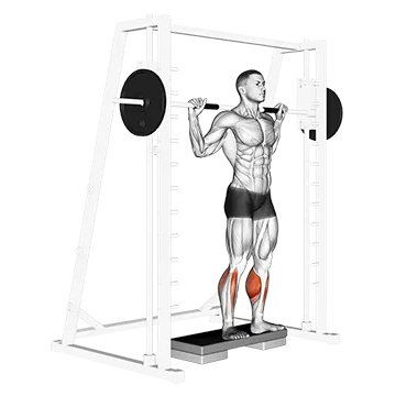 Smith Reverse Calf Raises