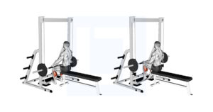 Weighted Seated Calf Raise - Guide, Benefits, and Form