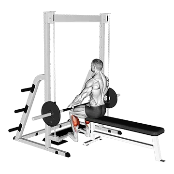 How To Build Bigger Calves Smith Seated Calf Raise