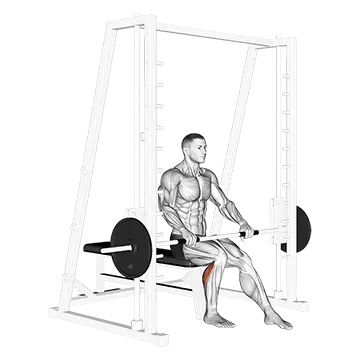 Smith Seated One Leg Calf Raise