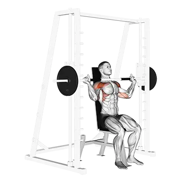 Best Smith Machine Shoulder Workouts Smith Shoulder Press