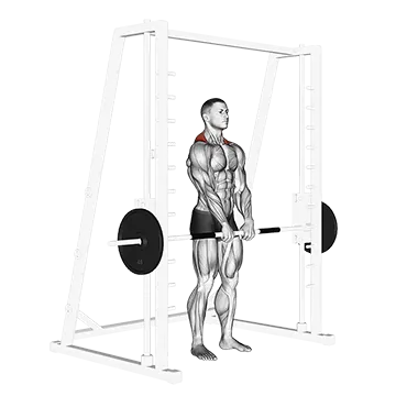 Best Smith Machine Back Workouts Smith Shrug