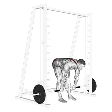 Best Smith Machine Leg Workouts Smith Stiff Legged Deadlift