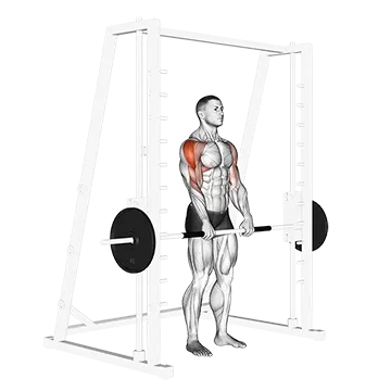 Best Smith Machine Shoulder Workouts Smith Upright Row