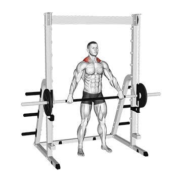 Best Smith Machine Back Workouts Smith Wide Shrug