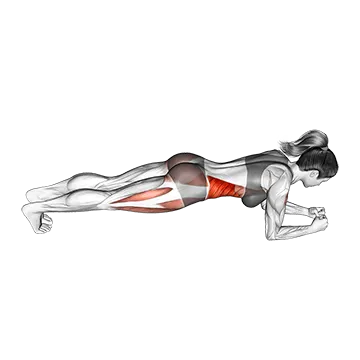 Best Ab Circuit Workouts Spider Plank
