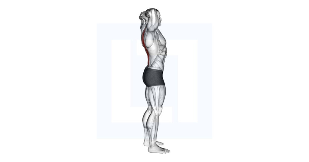 Spine Backbend Stretch Guide, Benefits, and Form