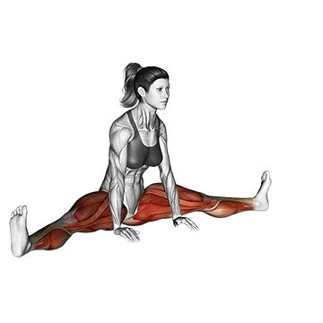 Spread Leg Forward Fold Upavista Konasan