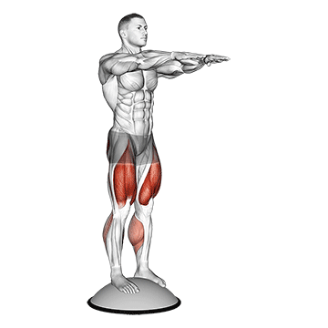 Best Bosu Ball Workouts Squat On Bosu Ball