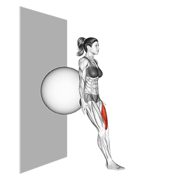 Best Stability Ball Workouts Stability Ball Single Leg Squat