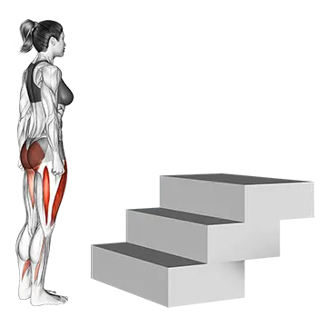 Stair Up