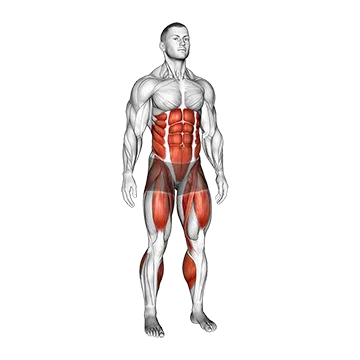 Best Standing Ab Workouts Standing Air Bike