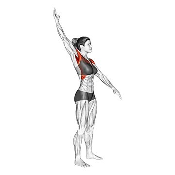 Standing Alternate Arms Circling