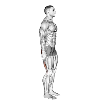 Best Standing Ab Workouts Standing Back Extension And Flexion