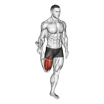 Standing Balance Quadriceps Stretch