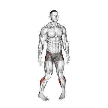 Standing Calf Raise Circle
