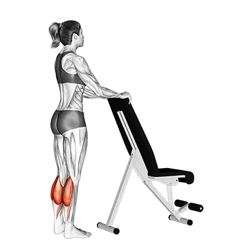 Standing Calf Raise With Support