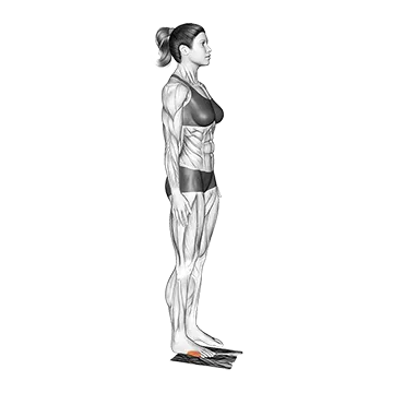 Standing Foot Muscles Activation