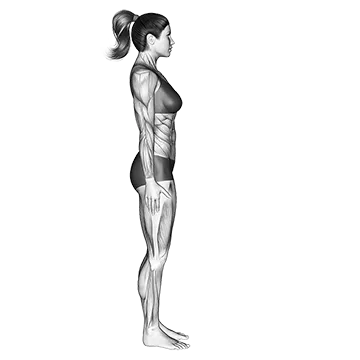 Standing Forward Bend Uttanasan