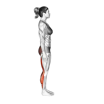 Standing Half Bend