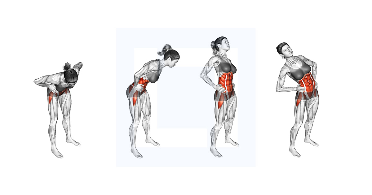 Quadruped Hip Circles Step By Step