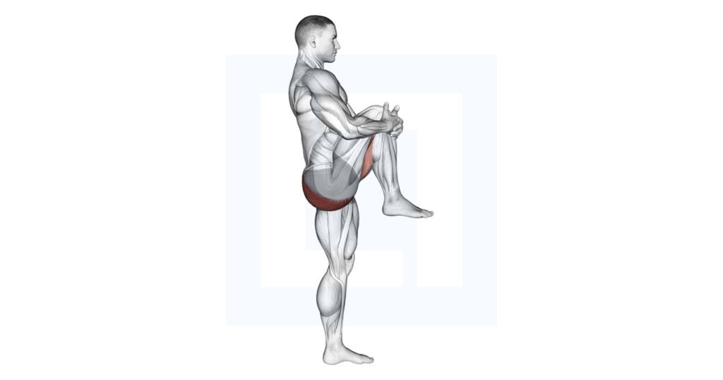 Standing Knee to Chest Stretch Guide, Benefits, and Form
