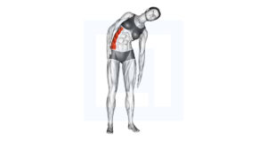 Standing Side Stretch - Guide, Benefits, and Form
