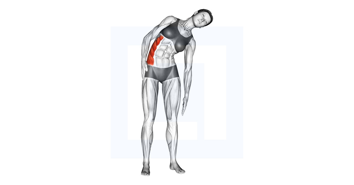 Standing Side Stretch Guide Benefits And Form Standing Side Stretch Guide Benefits And Form