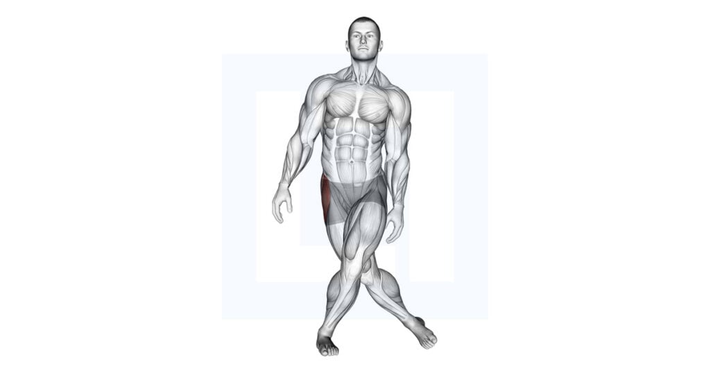 Standing Leg Cross Abductor Stretch