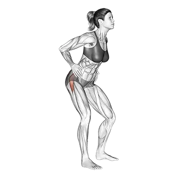 Standing Low Body Rotation