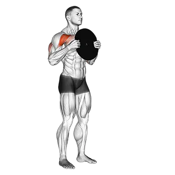 Standing Plate Presses