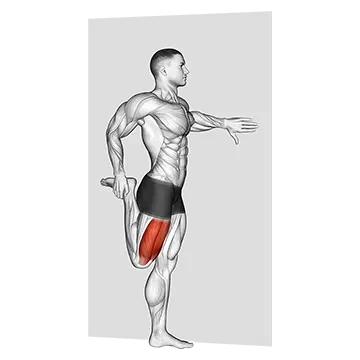 Best Quad Stretches Standing Quadriceps Stretch
