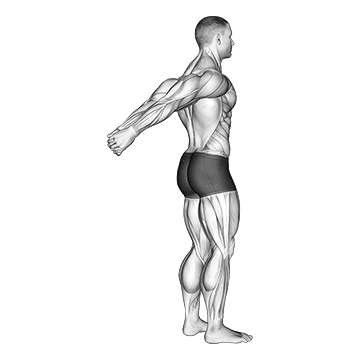 Best Shoulder Mobility Exercises Standing Reverse Shoulder Stretch