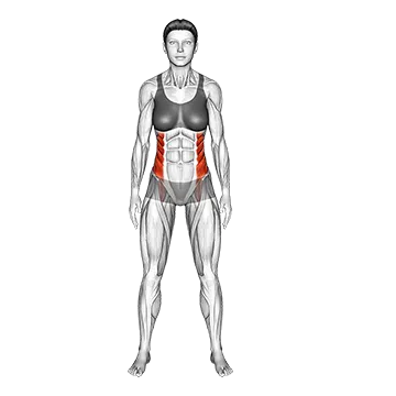 Best Bodyweight Oblique Workouts Standing Side Bend