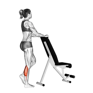 Standing Single Leg Calf Raise With Support