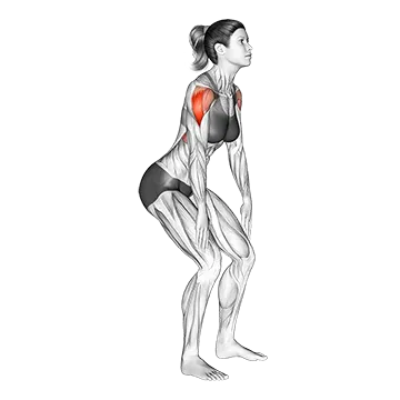 Best Bodyweight Trap Workouts Standing T Raise