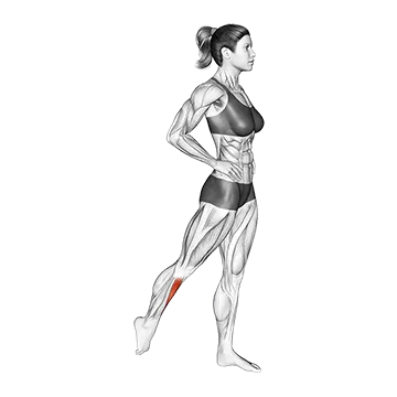 How To Fix Tight Calves Standing Tibialis Anterior Stretch