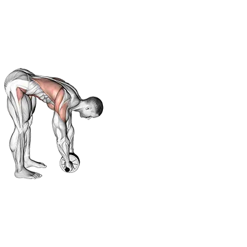 Best Standing Ab Workouts Standing Wheel Rollout