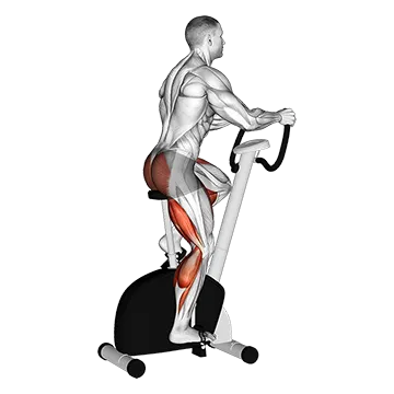 Stationary Bike Walk