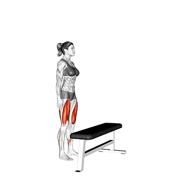 Best Calisthenics Leg Workouts Step Up