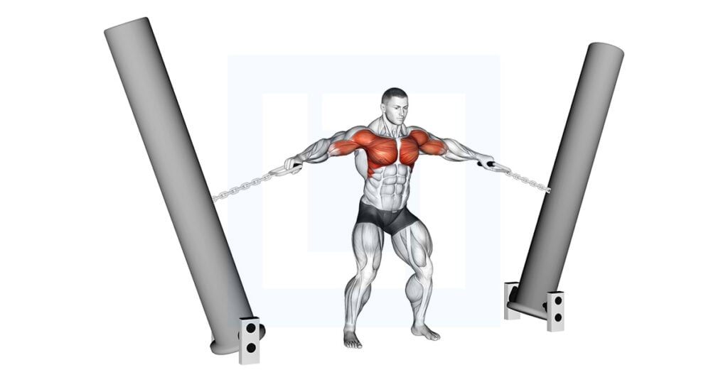 Cable One Arm Tricep Pushdown - Guide, Benefits, and Form
