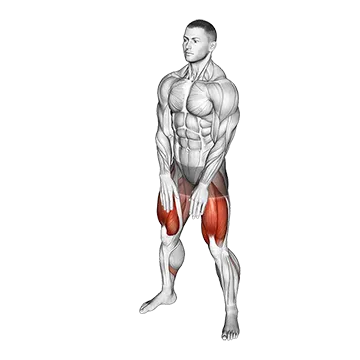 Best Bodyweight Adductor Workouts Sumo Squat Floor Touch