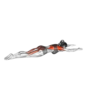 Best Bodyweight Lat Workouts Superman Row