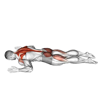 Best Calisthenics Back Workouts Superman